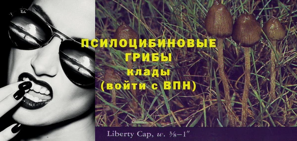apvp Алзамай