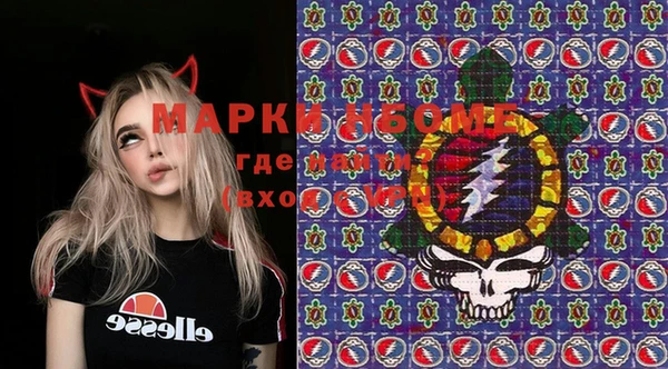 apvp Алзамай