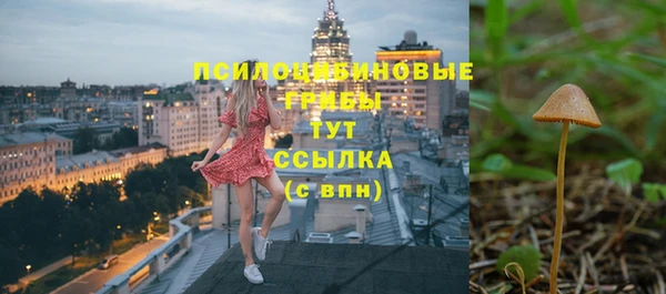 а пвп мука Аркадак